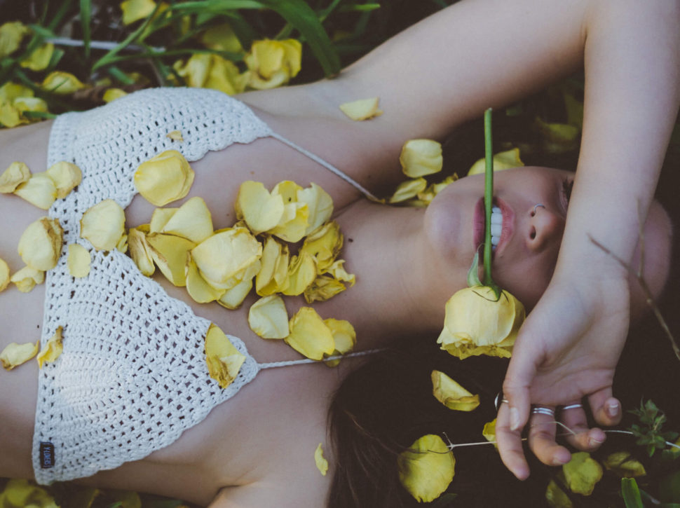 Flower Flower